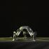 Sachtler Frosch